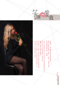 ����˵����(GL)