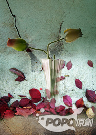 ���ԣ�Ů��