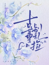 ڤ����������������