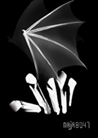 ��̷��Ӱ���ڹ۲������������[��Ӣ��]