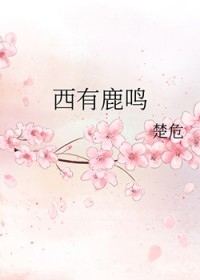 ����¹��