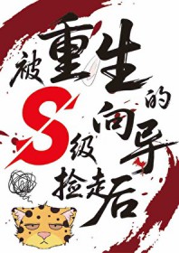 ��������S���򵼼��ߺ�