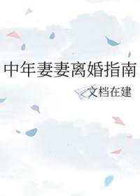 �����������ָ��