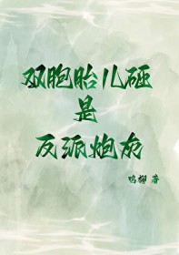 ˫��̥�����Ƿ����ڻ�