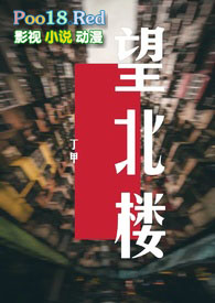 ����¥