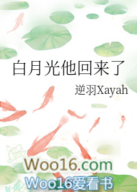 ���¹���������