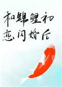 �ͽ�����������