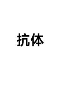 ���壨np��