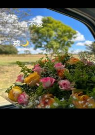 һ�Բ���������H��