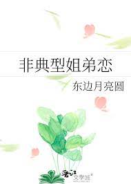 �ǵ��ͽ����