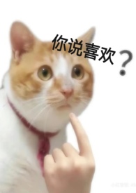 ��Ǹ��������(np��h��