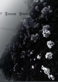 �����Ѵ���̫����ô�� [���� ���� ����]